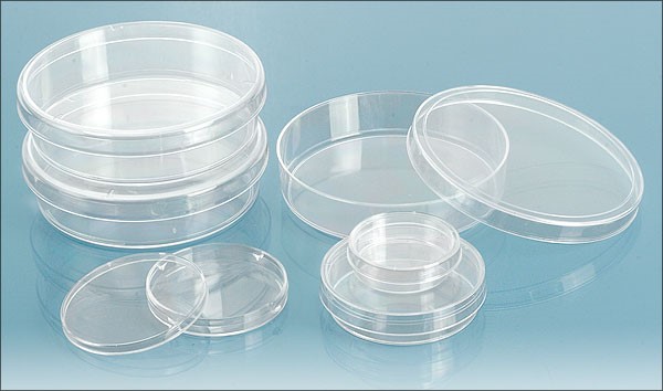 Petri Dish