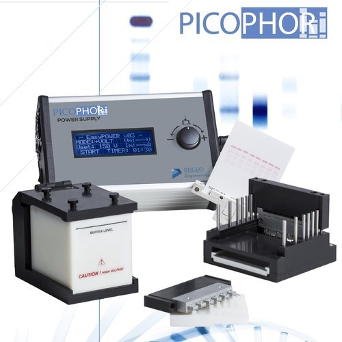 Picophor Electrophoresis & Microphor Scanner